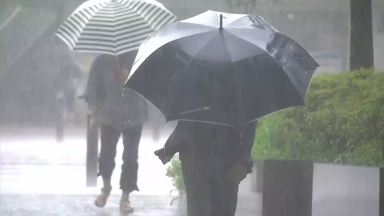 [날씨] 2차 장마 시작...전국 국지성 호우, 경기 북부 150mm↑