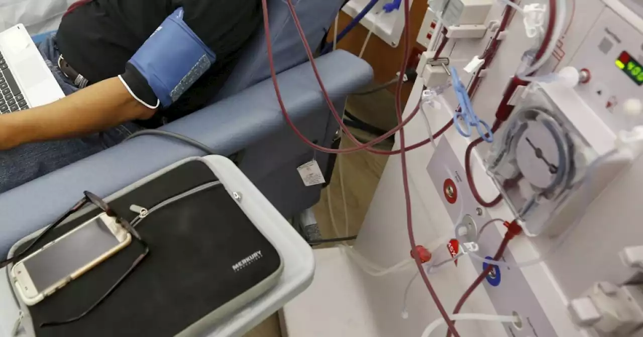 Researchers testing new bionic kidney for kidney disease patients