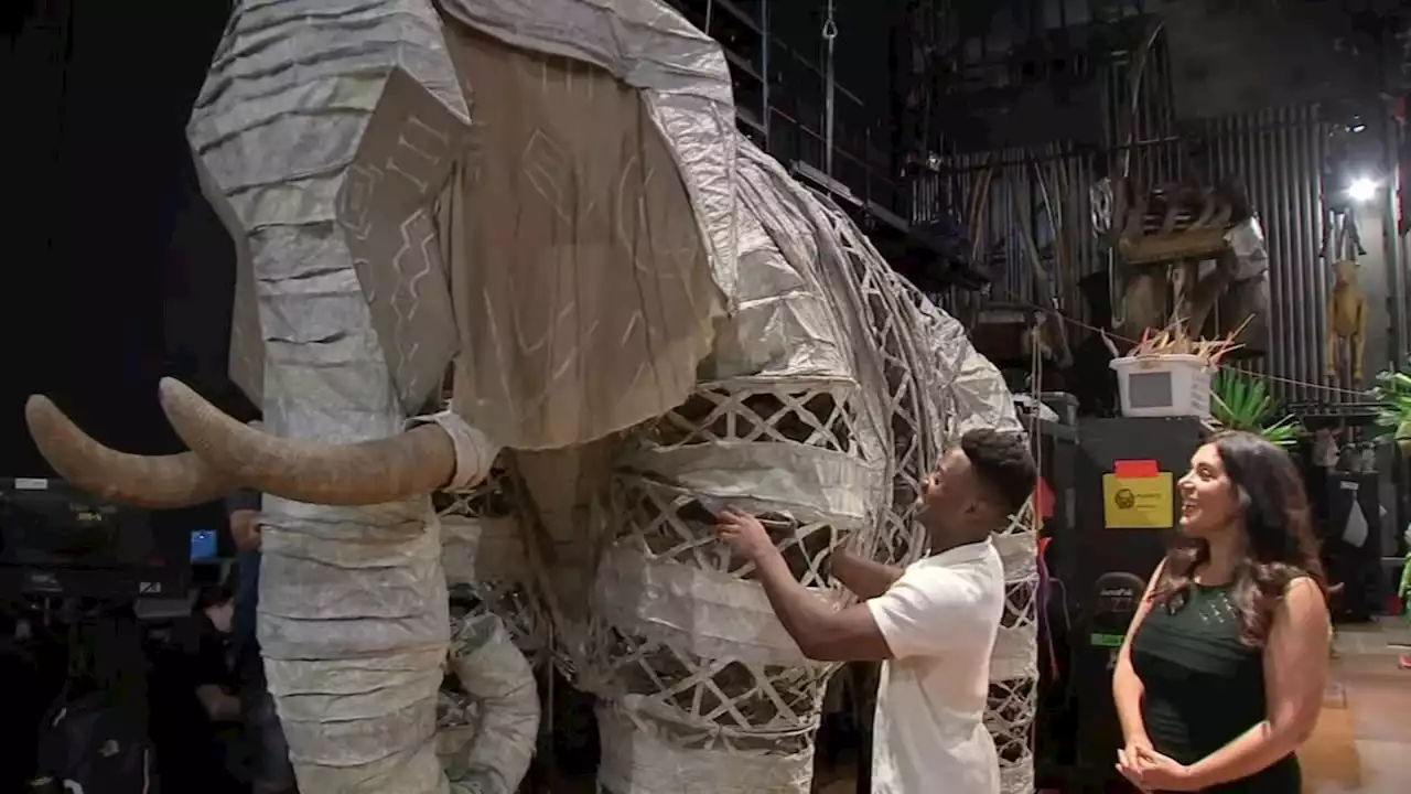 Backstage tour of Disney's 'The Lion King' at the Academy of Music in Philly