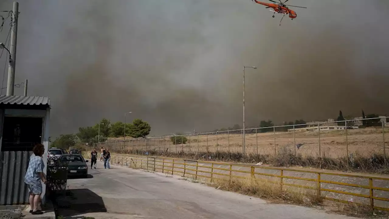 European firefighters and planes join battle against wildfires that have left 20 dead in Greece