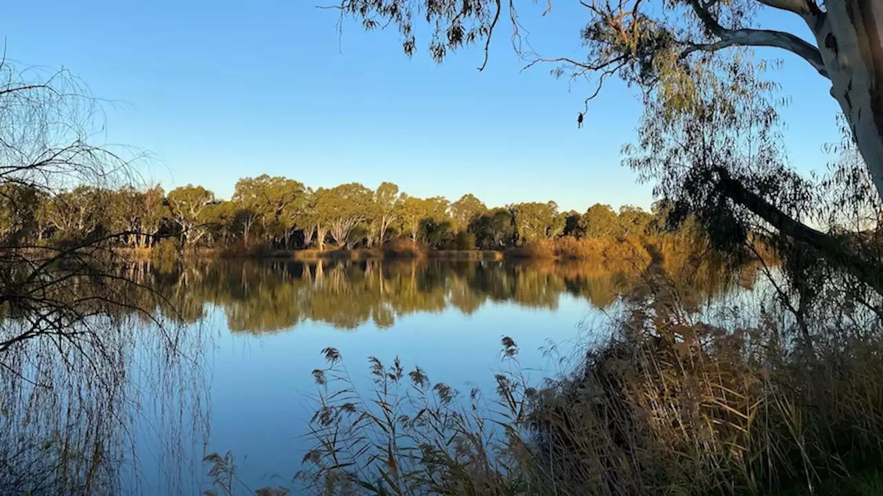 Plibersek brokers new Murray-Darling Basin deal without Victoria, buybacks could cost billions