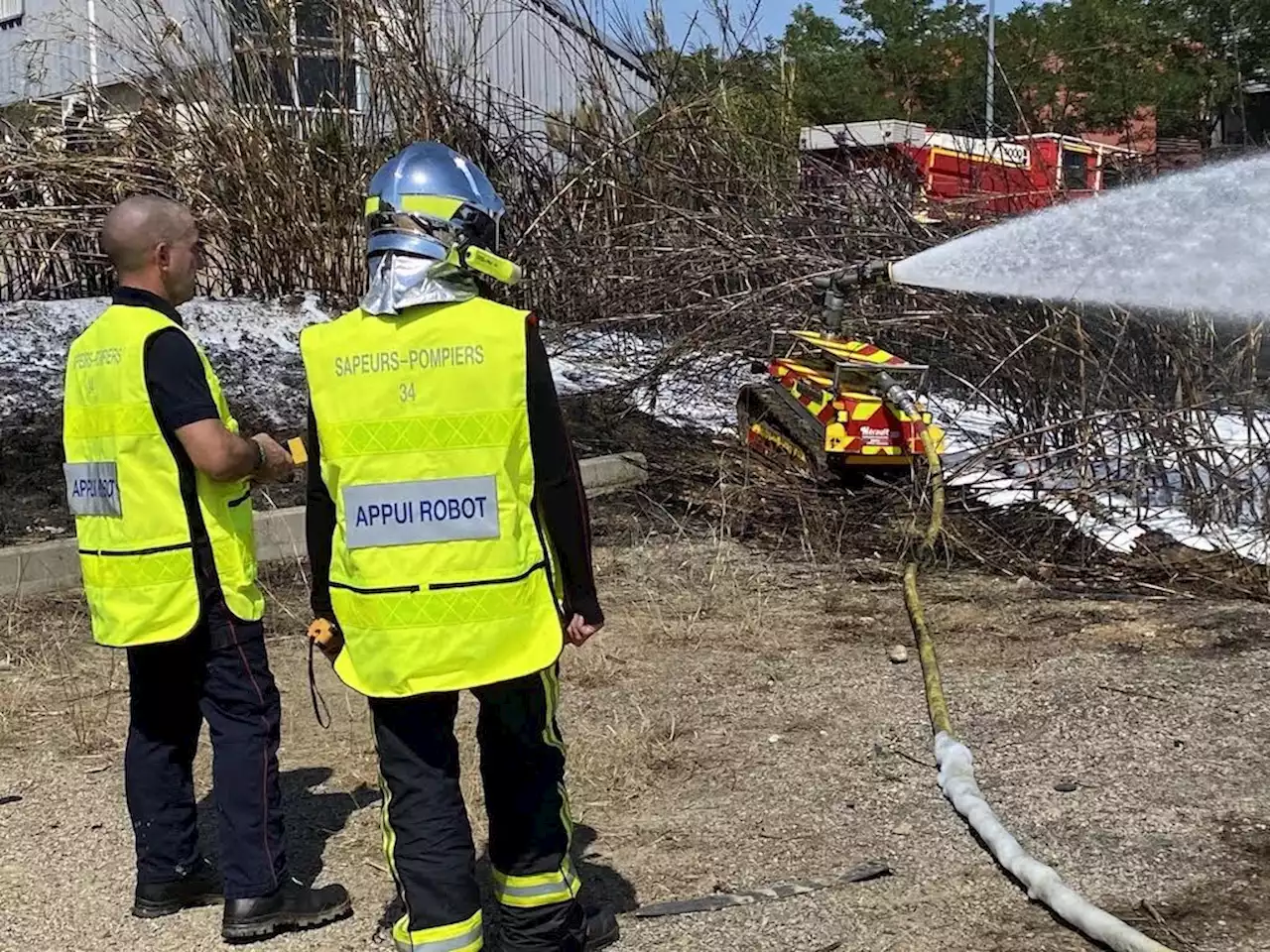 Hérault. Près de Béziers : plus de trente véhicules en feu sur le parking d'une concession auto