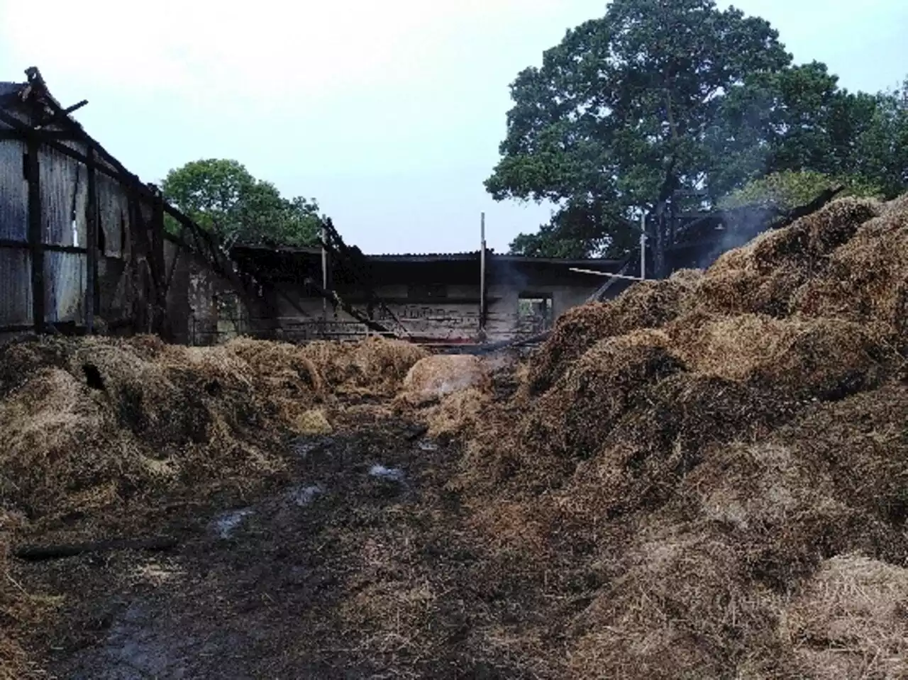 Loire-Atlantique : un hangar agricole part en fumée