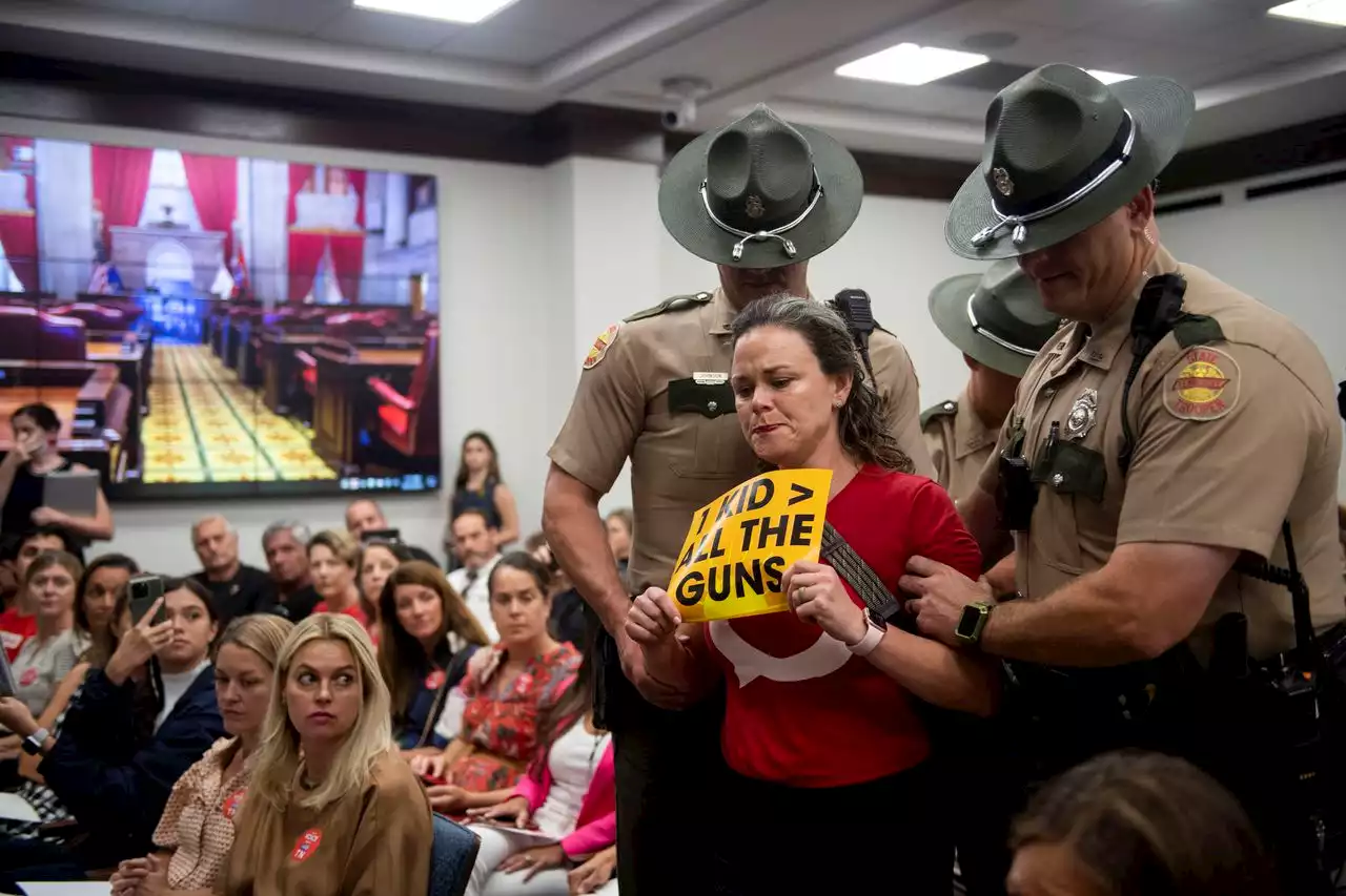 Tennessee House sued by ACLU after 3 gun control advocates kicked out of special session