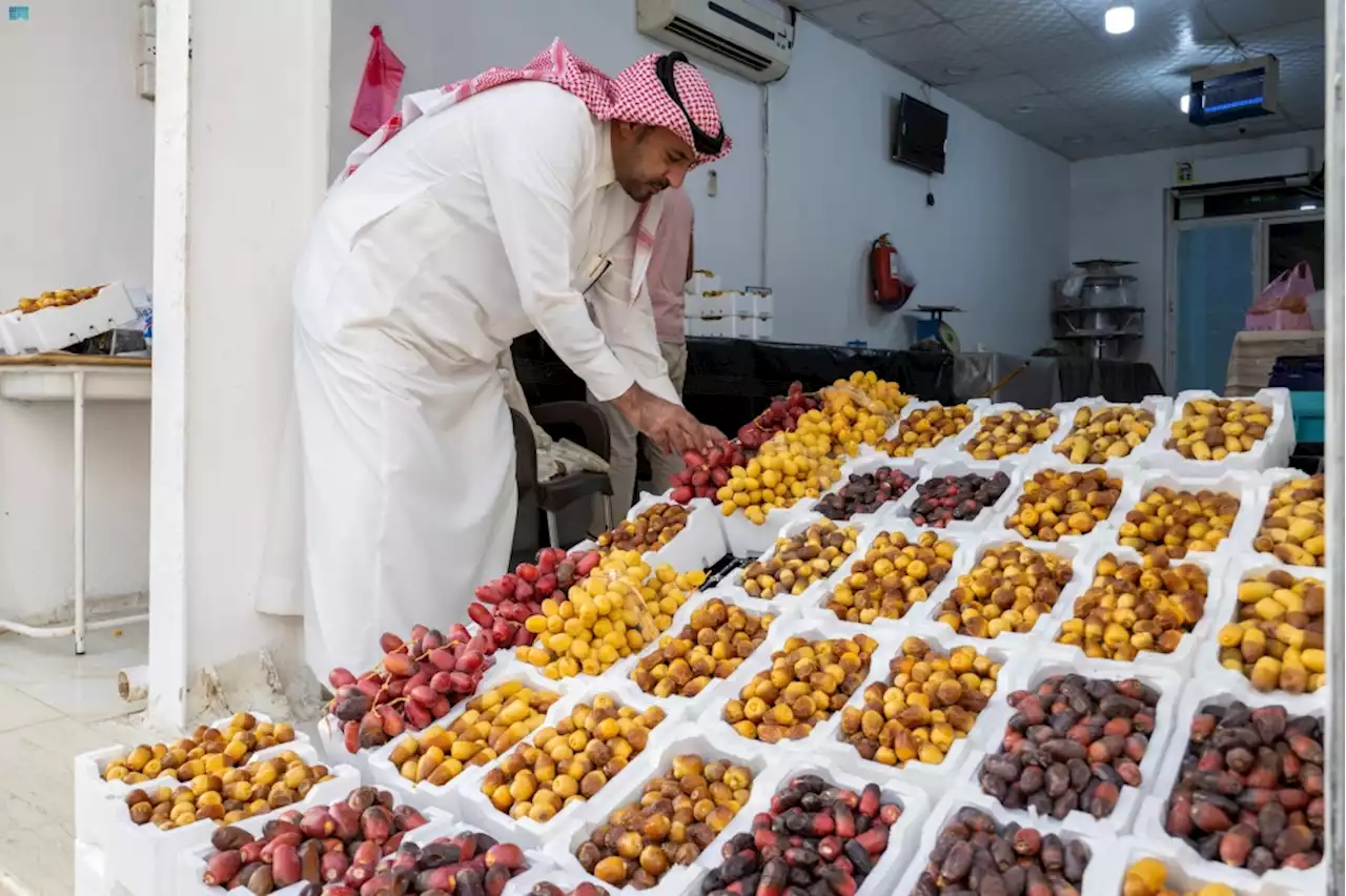 'الحلوة' الأكثر طلبًا.. مزارعو الجوف يبدؤون جني بواكير الرطب