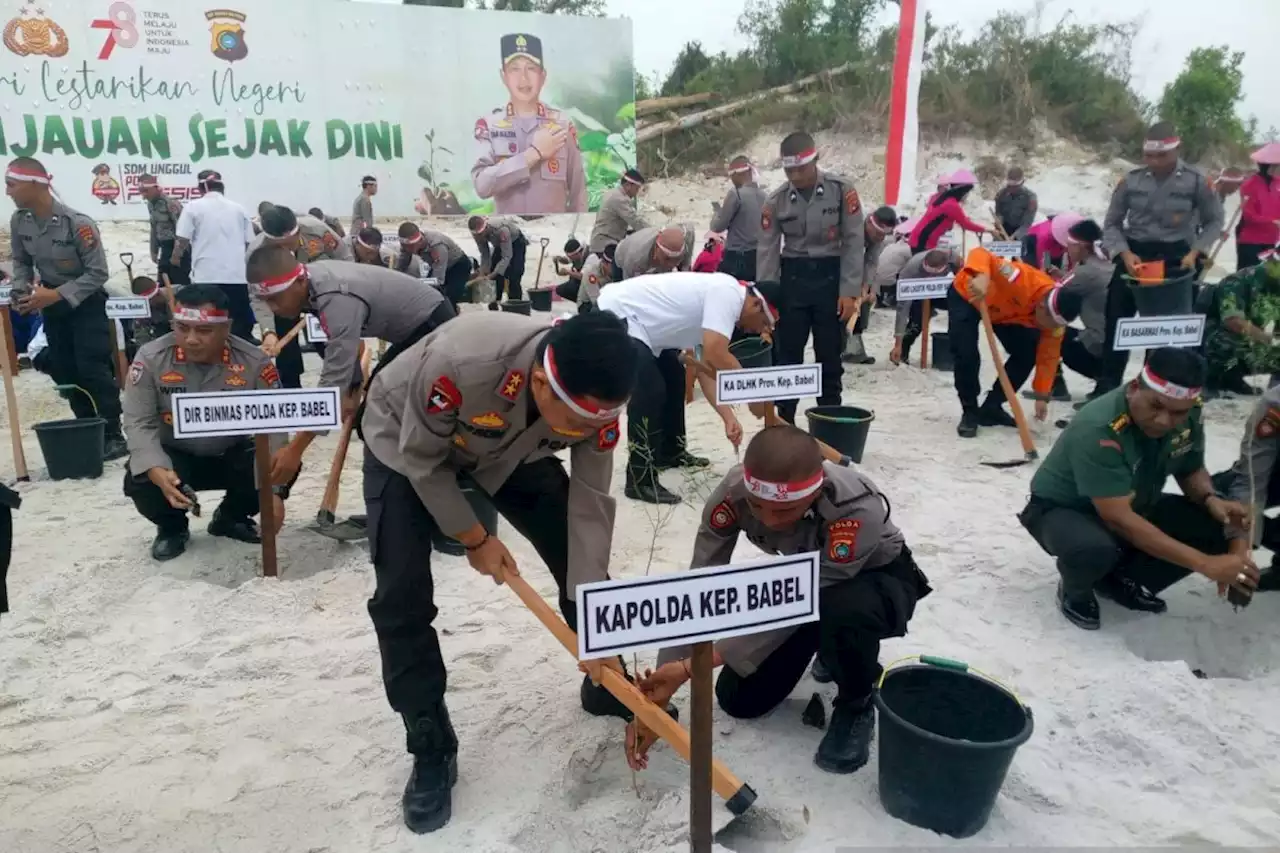 10.000 bibit pohon ditanam untuk hijaukan lahan kritis Bangka Belitung