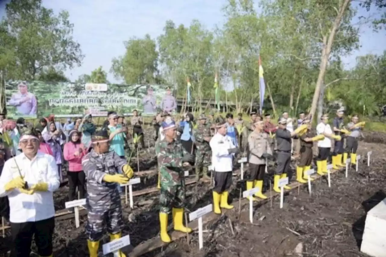 Hutan mangrove di Bengkalis Riau bisa menjadi destinasi wisata