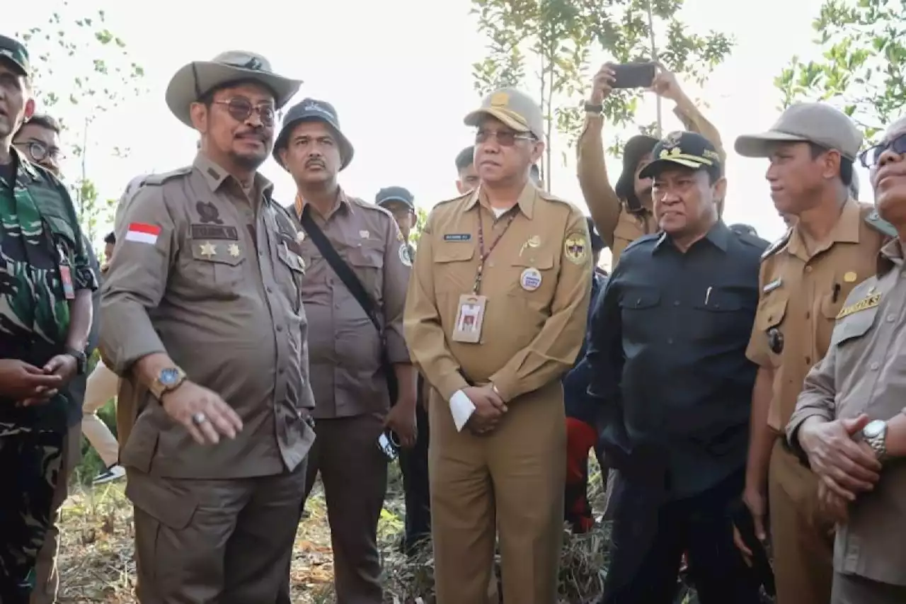 Mentan-Wagub Kalteng tinjau lahan di Gunung Mas terkait 'food estate'