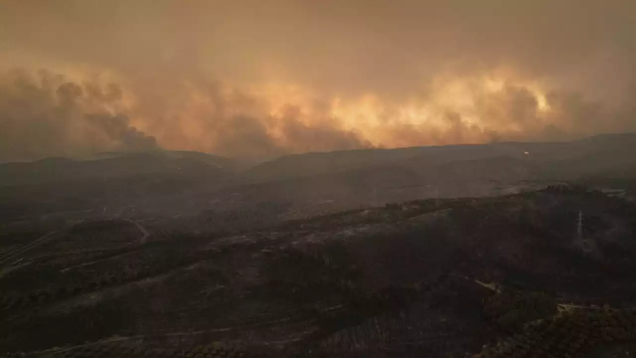 European firefighters and planes join battle against wildfires that have left 20 dead in Greece