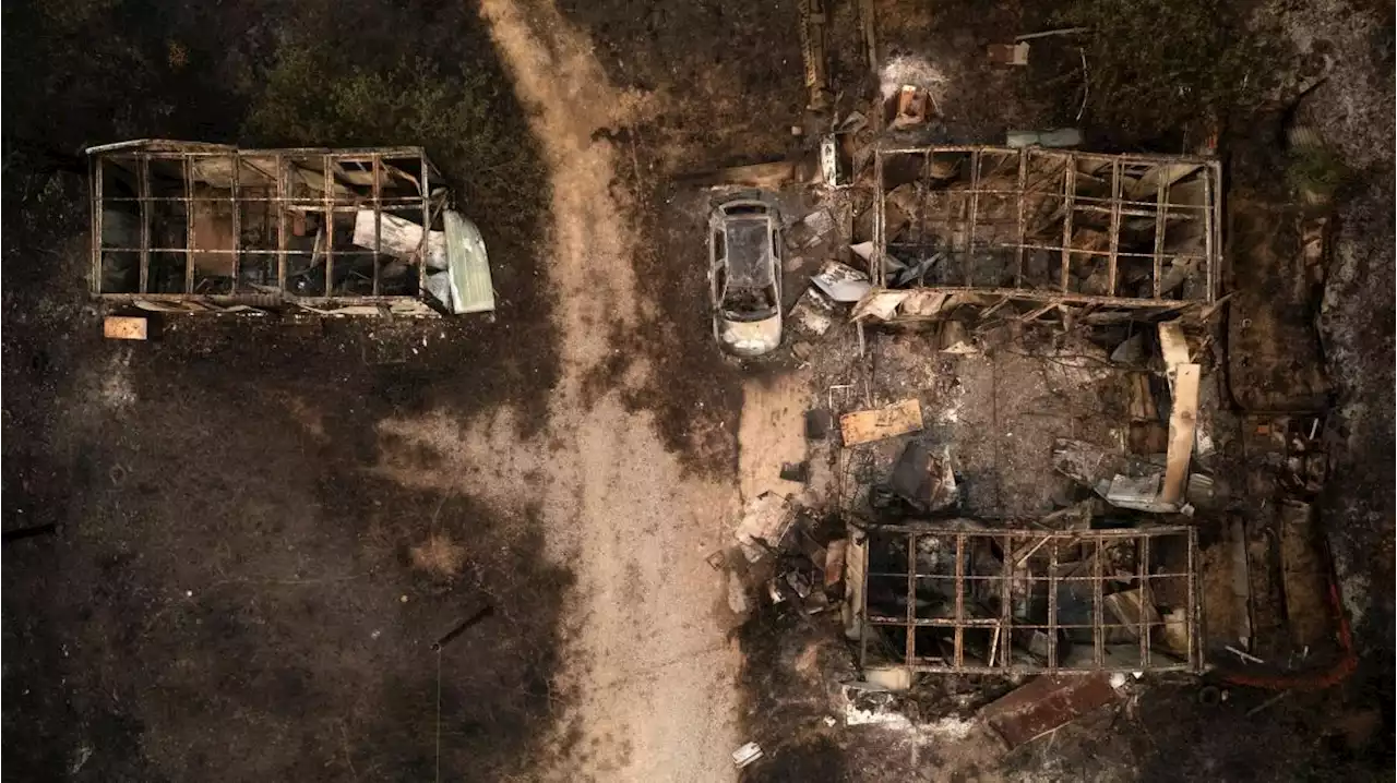 Waldbrände wüten in Griechenland – 18 Migranten in Flammen gestorben