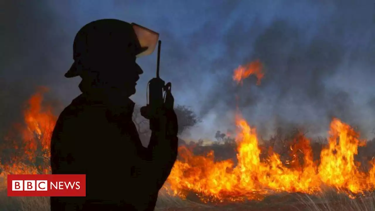 Piroceno: o que é a era do fogo que vivemos e como controlar seus efeitos