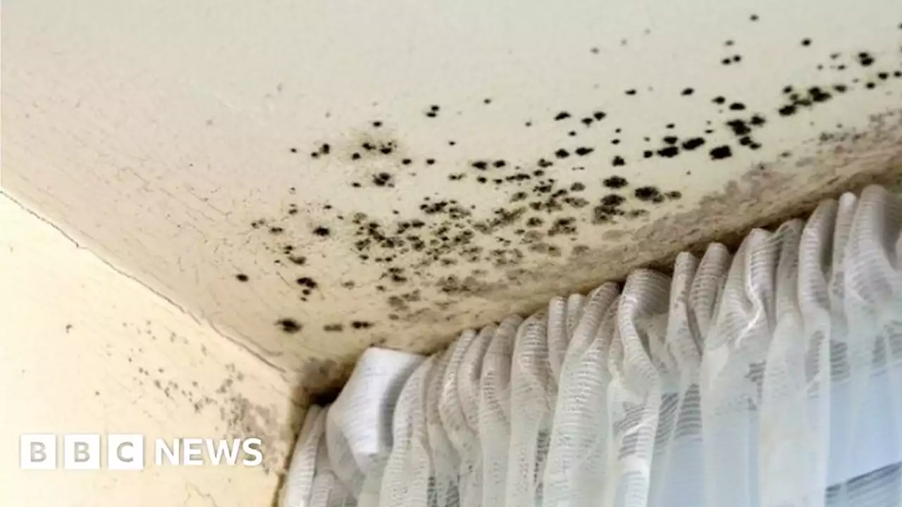 Newham Council told to pay out after mould failings