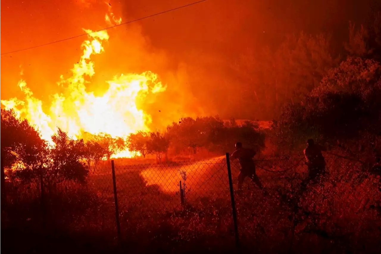 Waldbrände in Griechenland: Flammen verschlingen Dorf Dikella