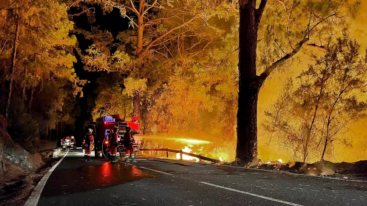 Incendie à Tenerife: dans les pas des pompiers de l'île en lutte depuis une semaine