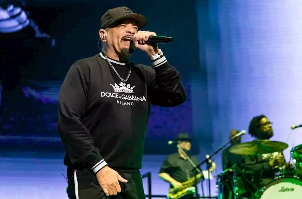 Ice-T & Public Enemy to Headline Free National Celebration of Hip-Hop Concert