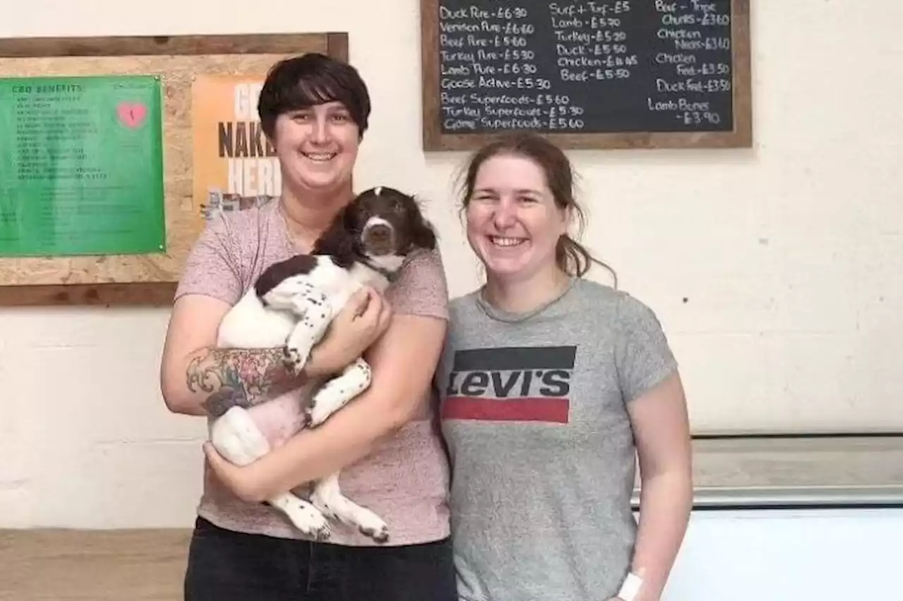 Pet mad couple turn side hustle into Bamber Bridge shop