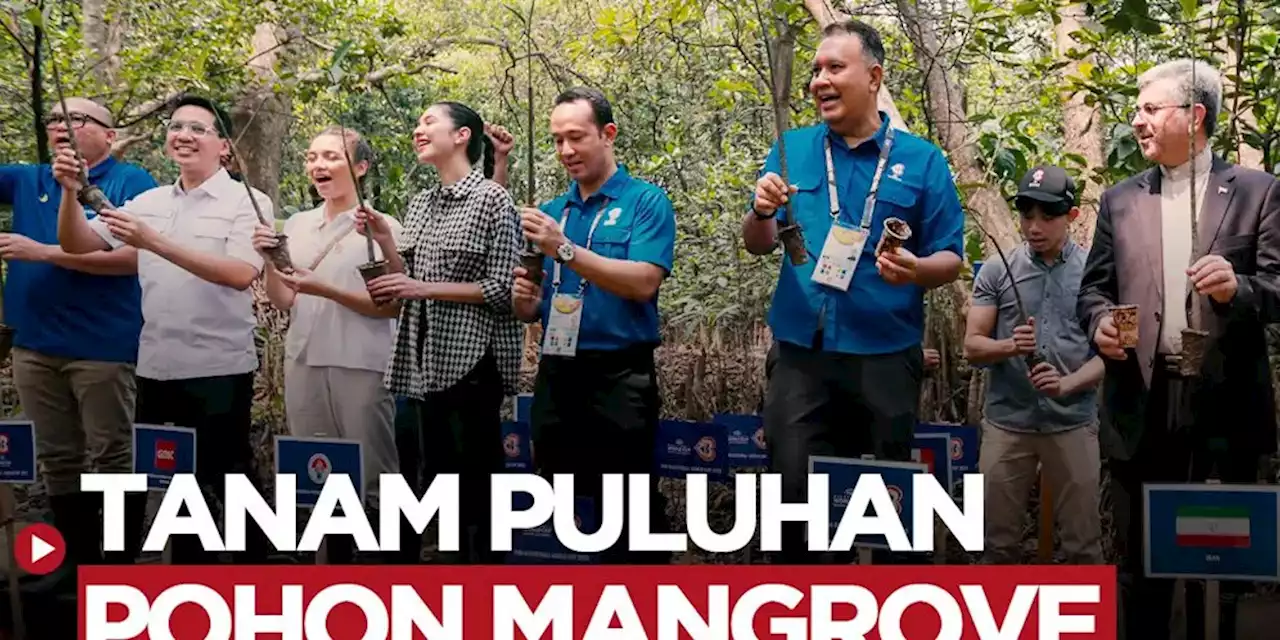 Panpel FIBA World Cup 2023 Tanam Puluhan Mangrove Jelang Jelang Piala Dunia Basket