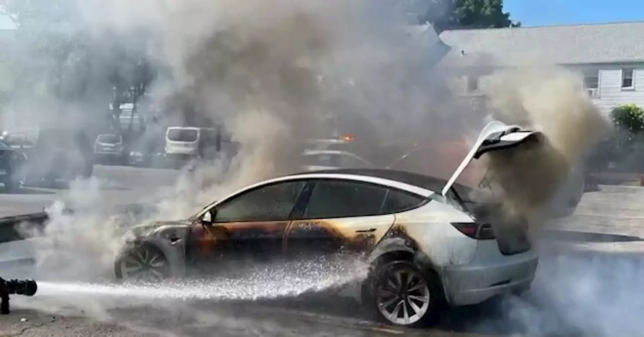 Elon's Ticking Time Bombs: Hurricane Hilary Flooding Could Spark Tesla Fires Across California