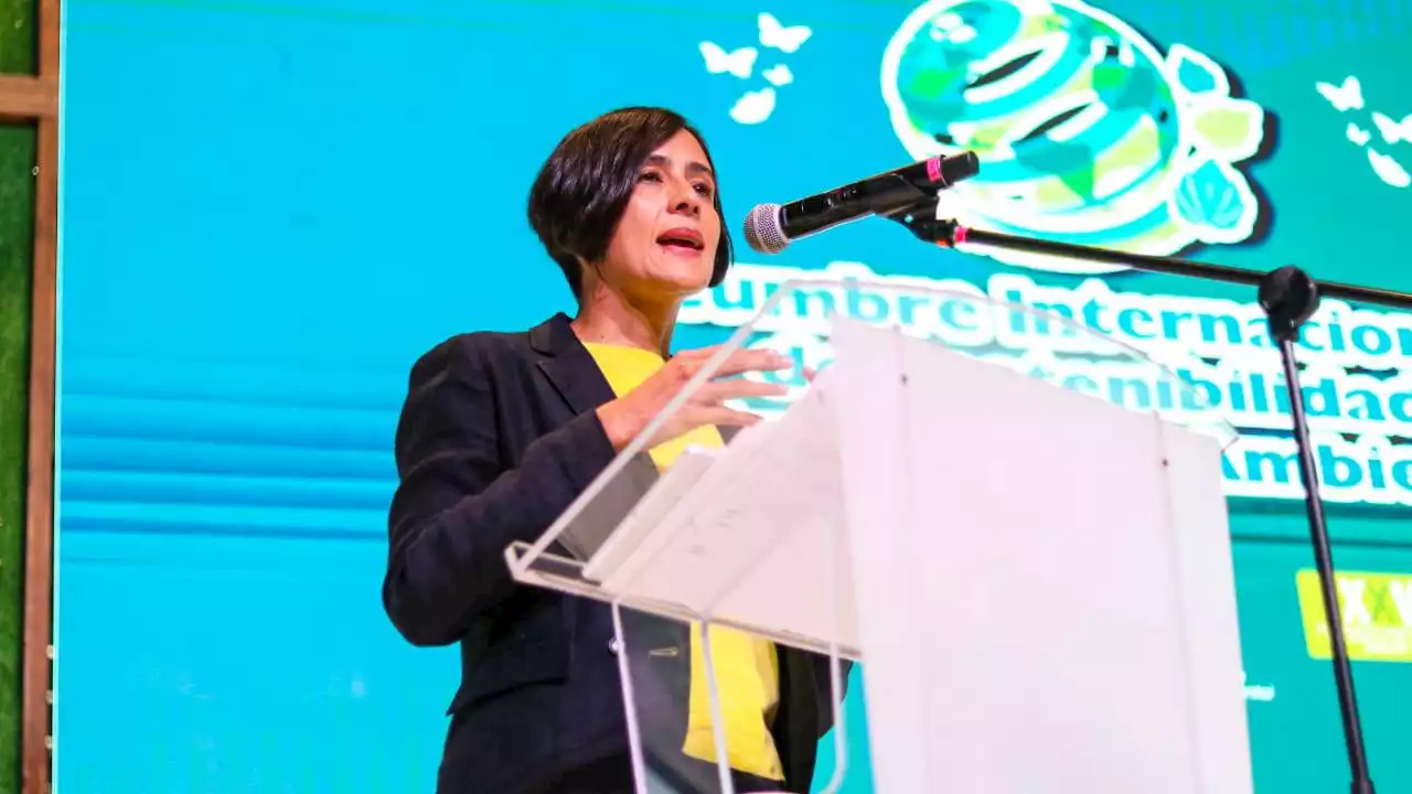 “Tenemos que hacer una reforma al sistema financiero mundial”: ministra Susana Muhamad