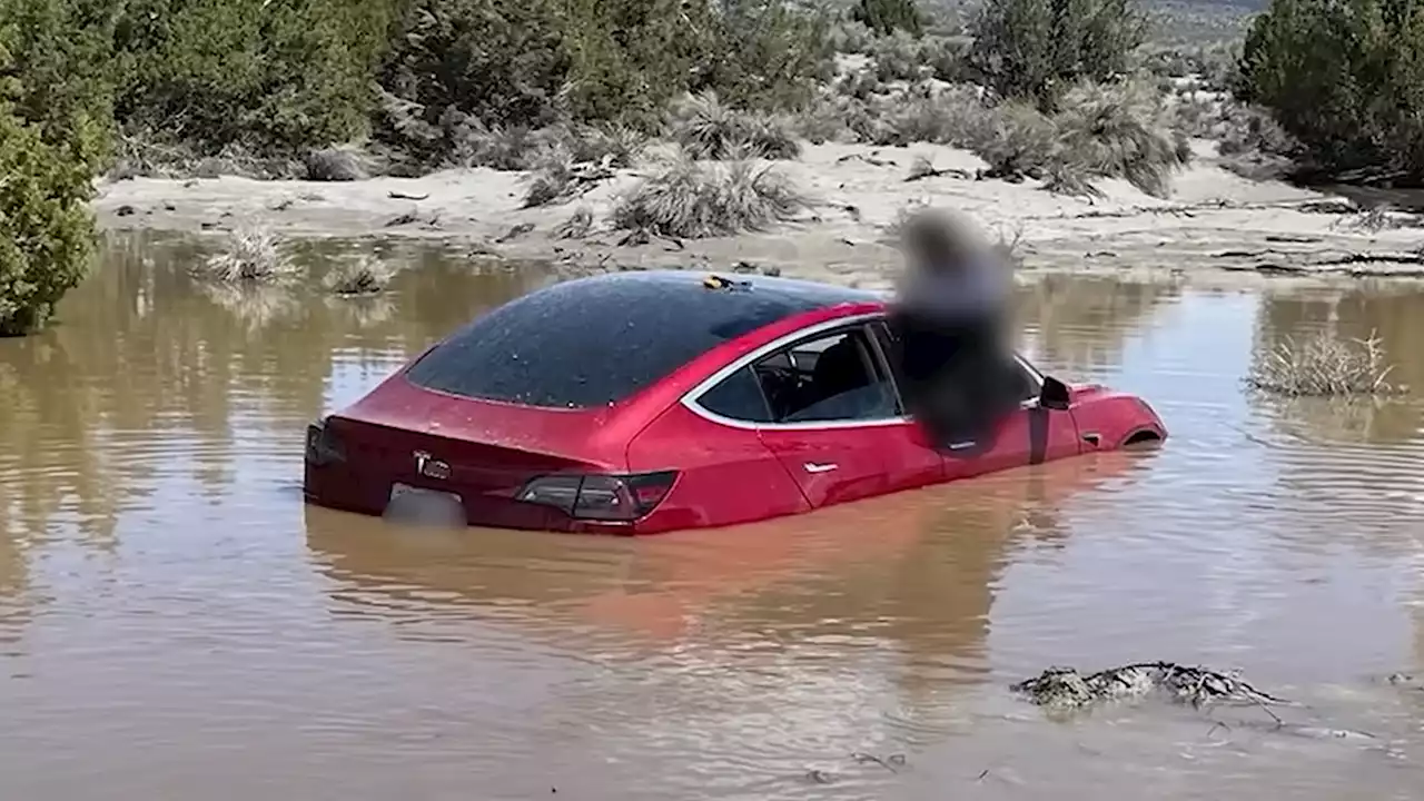 Tesla Model 3 Driver Ignores FSD Limitations, Drives Through Flooded Road