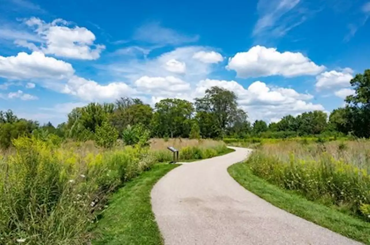 10 Spots to See Summer Wildflowers in the Cleveland Metroparks