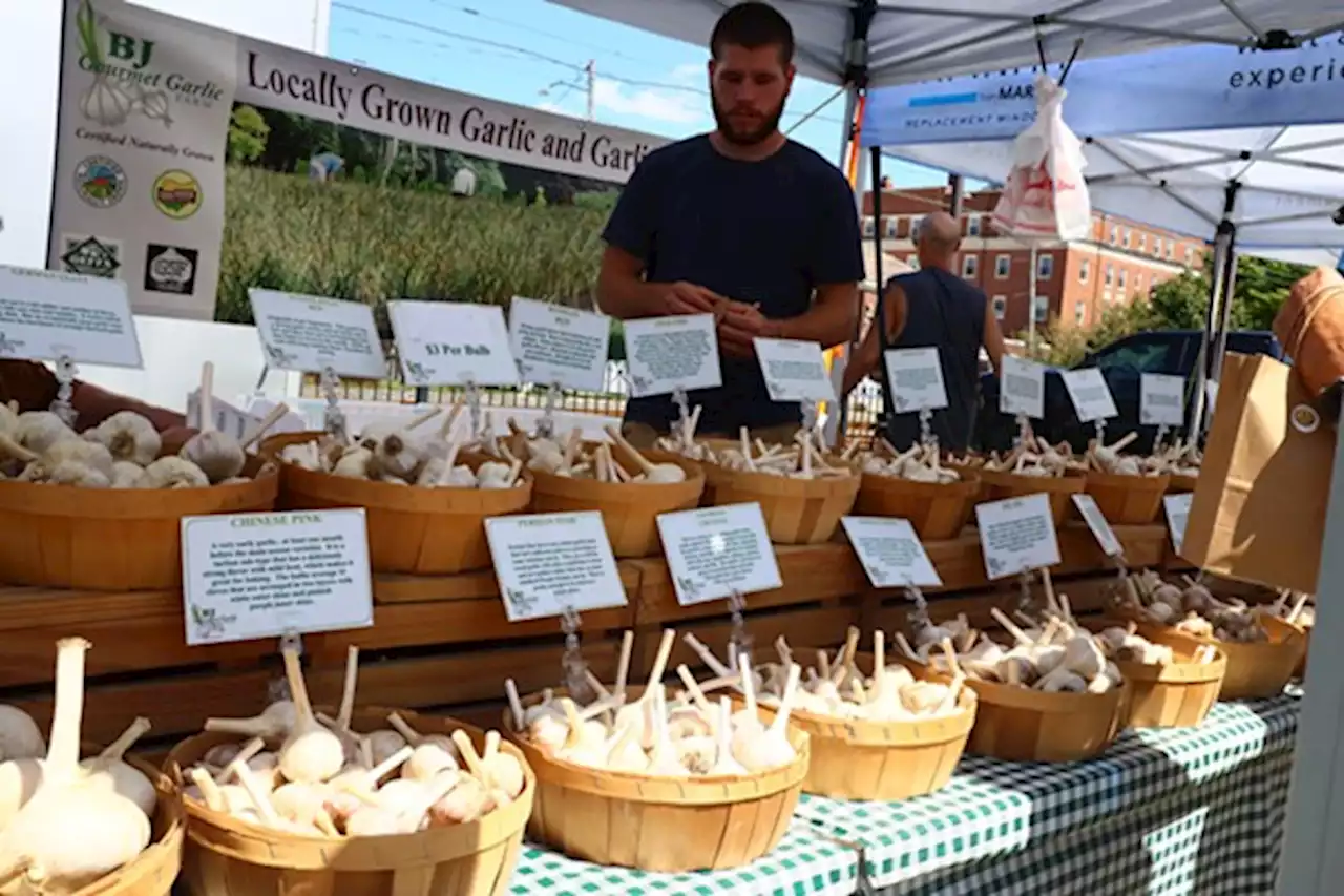 Cleveland Garlic Festival Returns to Shaker Square Aug. 26-27