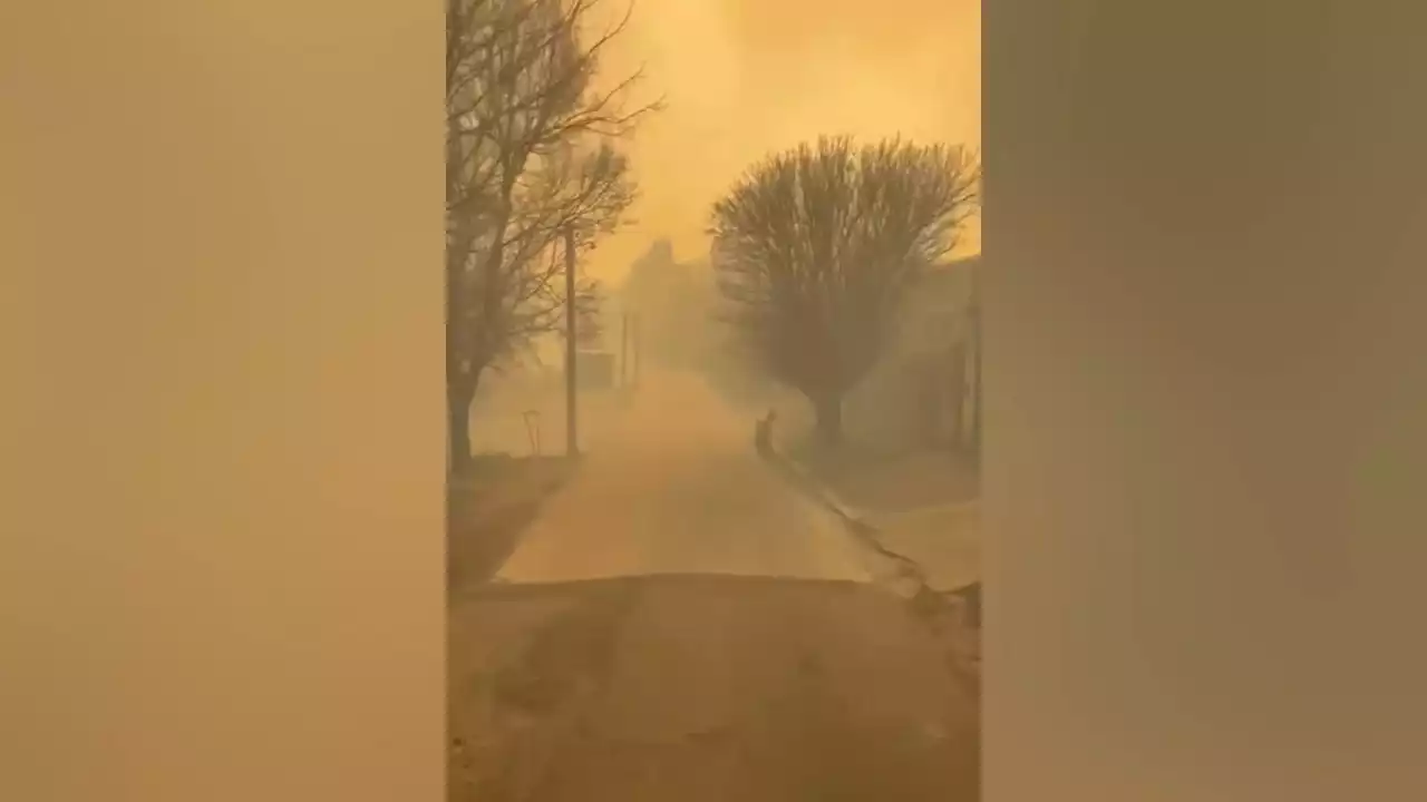 Argentina: incendios forestales afectan a las provincias de Córdoba y San Luis | Video