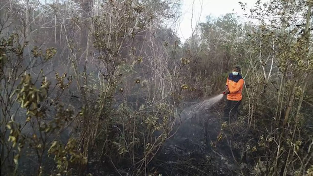 Karhutla Landa 500 Hektare Lahan di Jatim Periode Januari-Agustus 2023