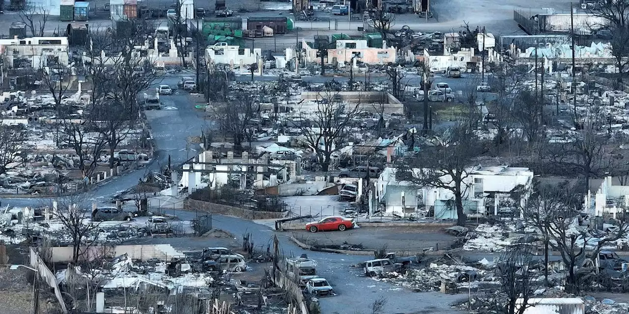 Report Warns 'Today's Climate Crisis Is Tomorrow's Banking Crisis'