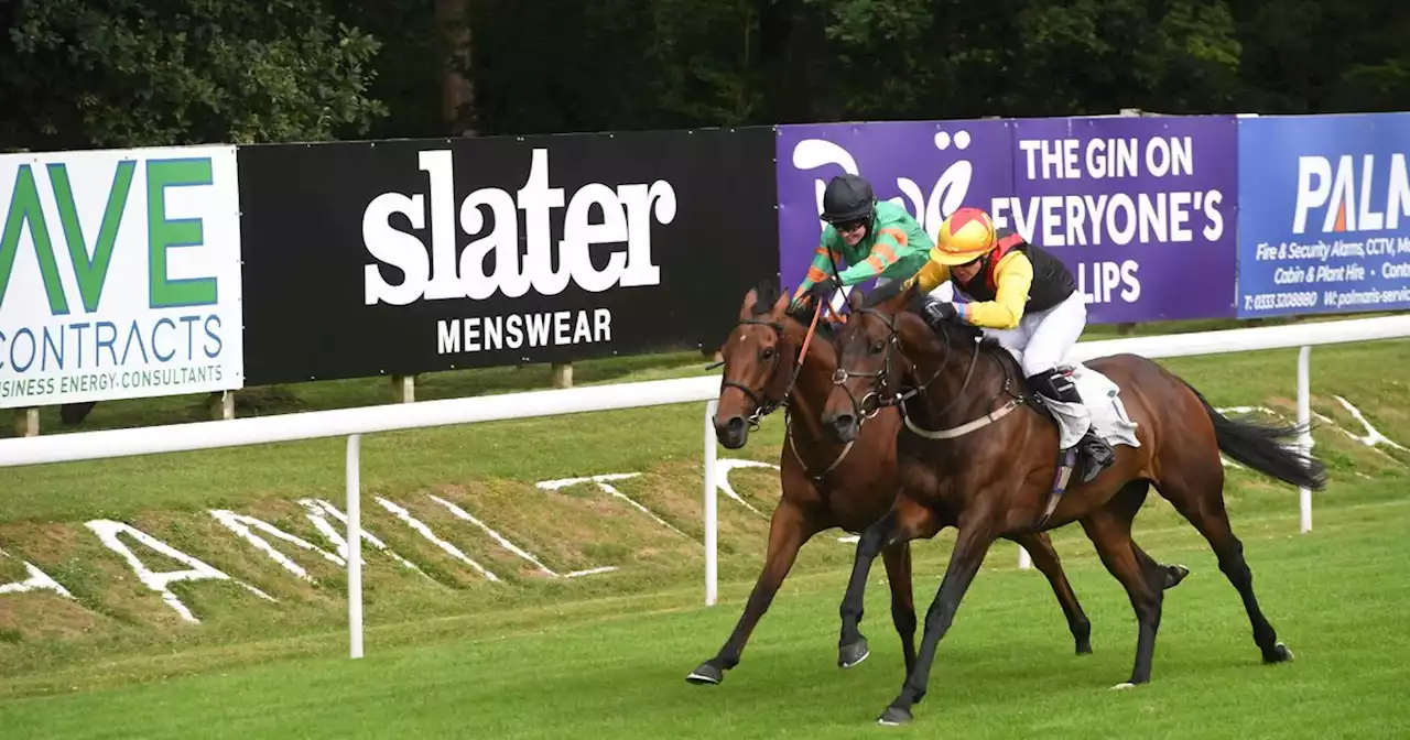 Hamilton Racecourse preparing for richest-ever race day this Friday