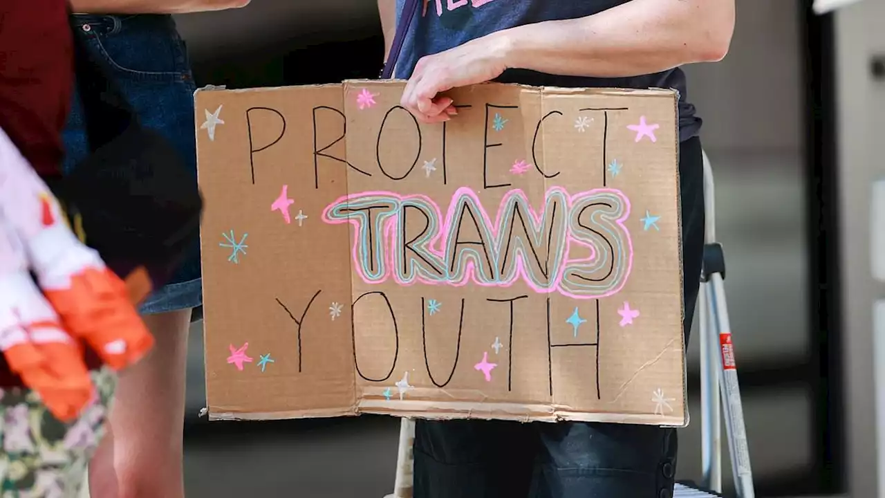 Free speech is under attack from trans rights activists, report warns