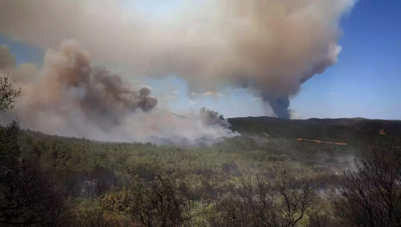 Verheerende Waldbrände: Flammen bedrohen einzigartigen Nationalpark in Griechenland