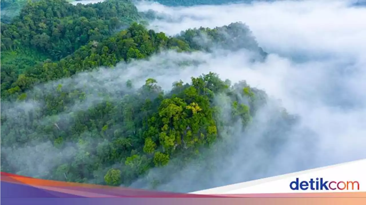 Kabut Asap dan Kekeringan Jadi Tanda Kiamat, Benarkah?