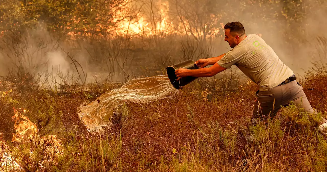 Este ano, já foram identificados 803 suspeitos de incêndios e a GNR e a PJ detiveram 90 pessoas