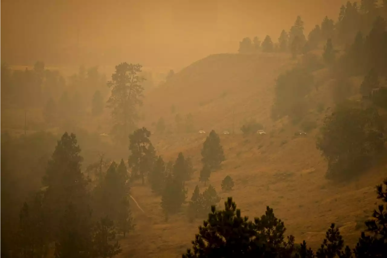 Western Canada’s wildfire evacuees return as weather brings relief