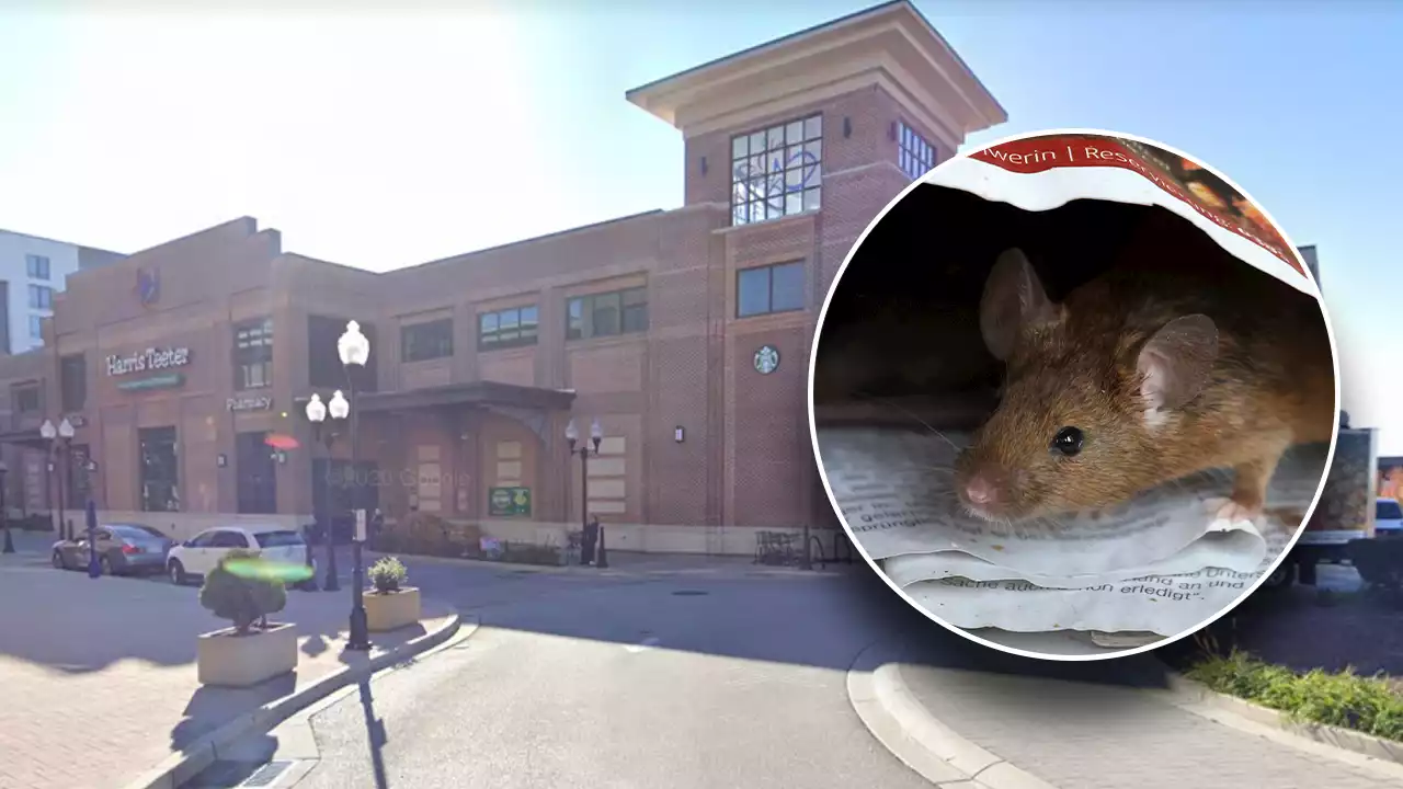 Upscale Baltimore grocery store closed for days over disturbing infestation