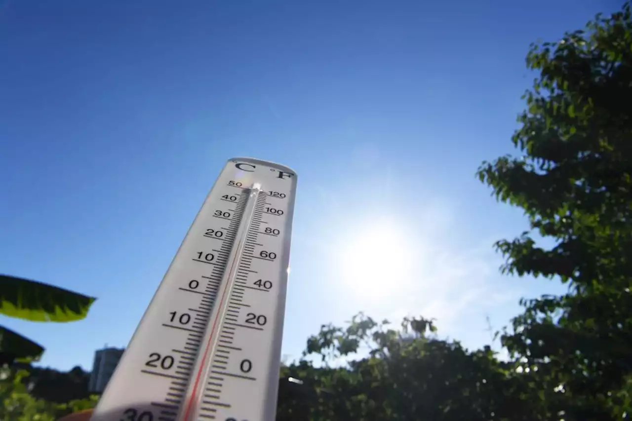 CANICULE. 'Des températures exceptionnelles' dans les Alpes : voici les records absolus battus cette semaine en Isère, Savoie et Haute-Savoie