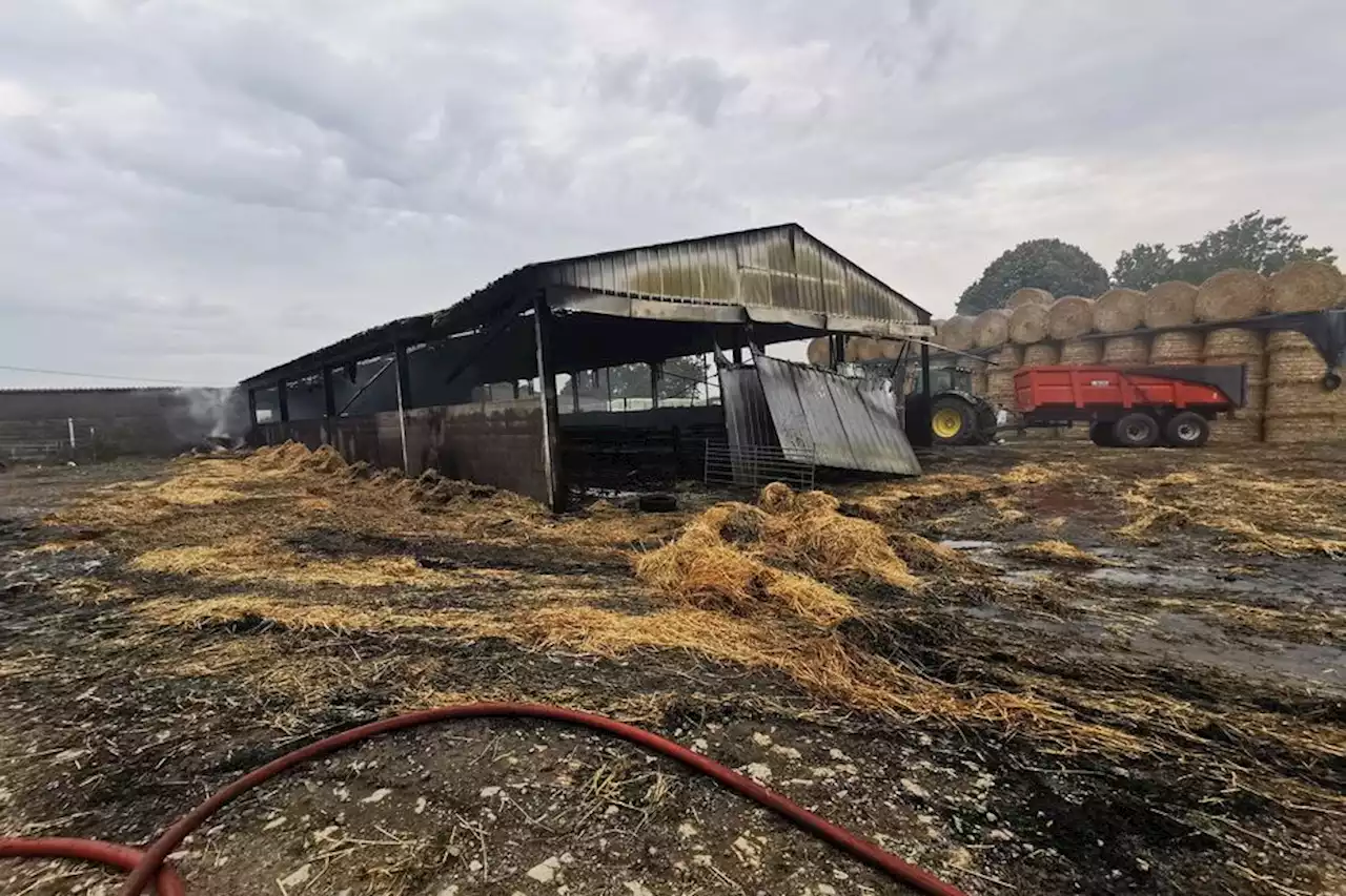 Incendie : une chèvrerie prend feu dans les Deux-Sèvres, 320 chèvres mortes