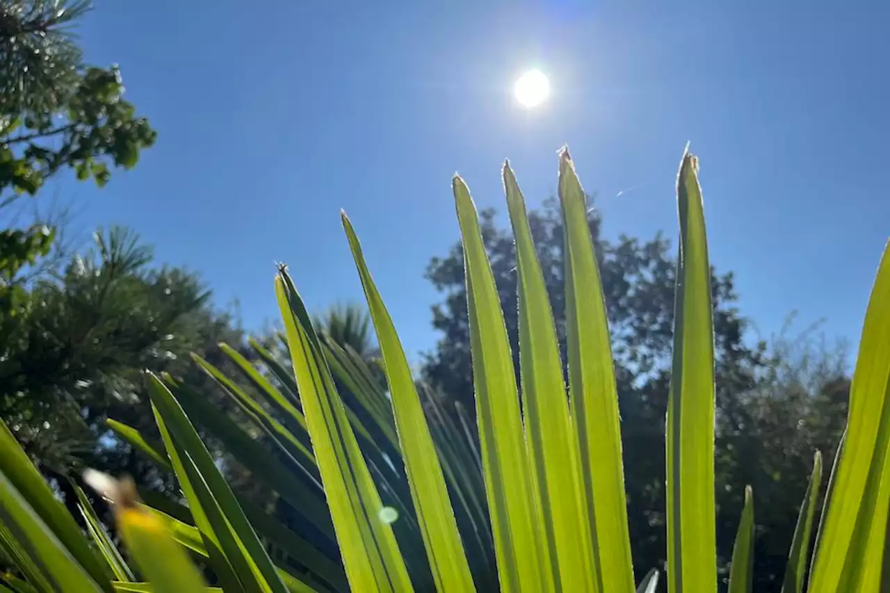 Les prévisions météo France 3 Nouvelle Aquitaine du jeudi 24 août