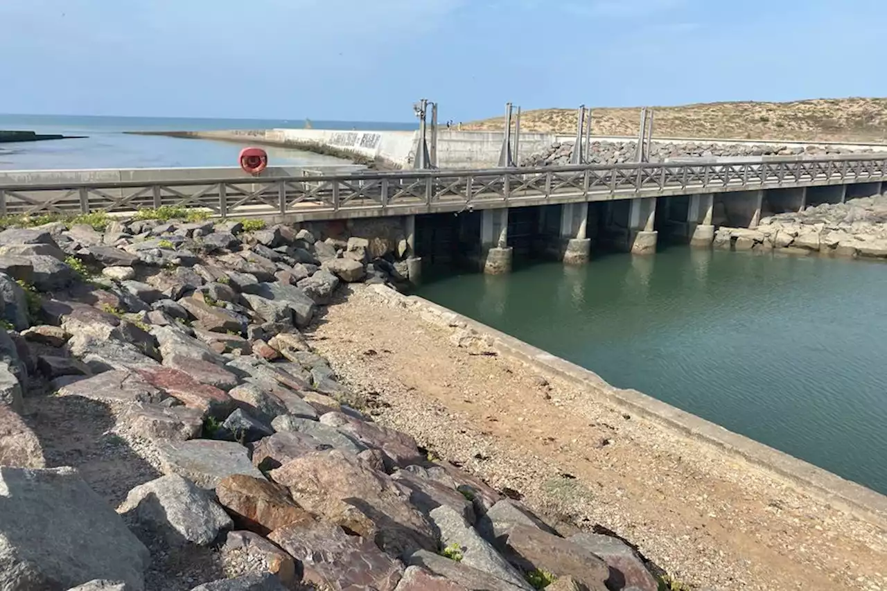 Sables d'Olonne : des poissons retrouvés morts dans une rivière des marais de la Gachère créent la polémique