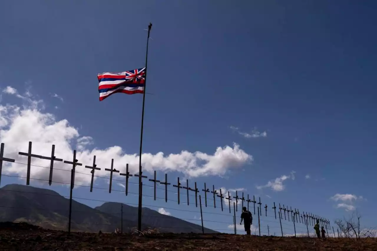 Hawaii officials urge families of people missing after fires to give DNA samples