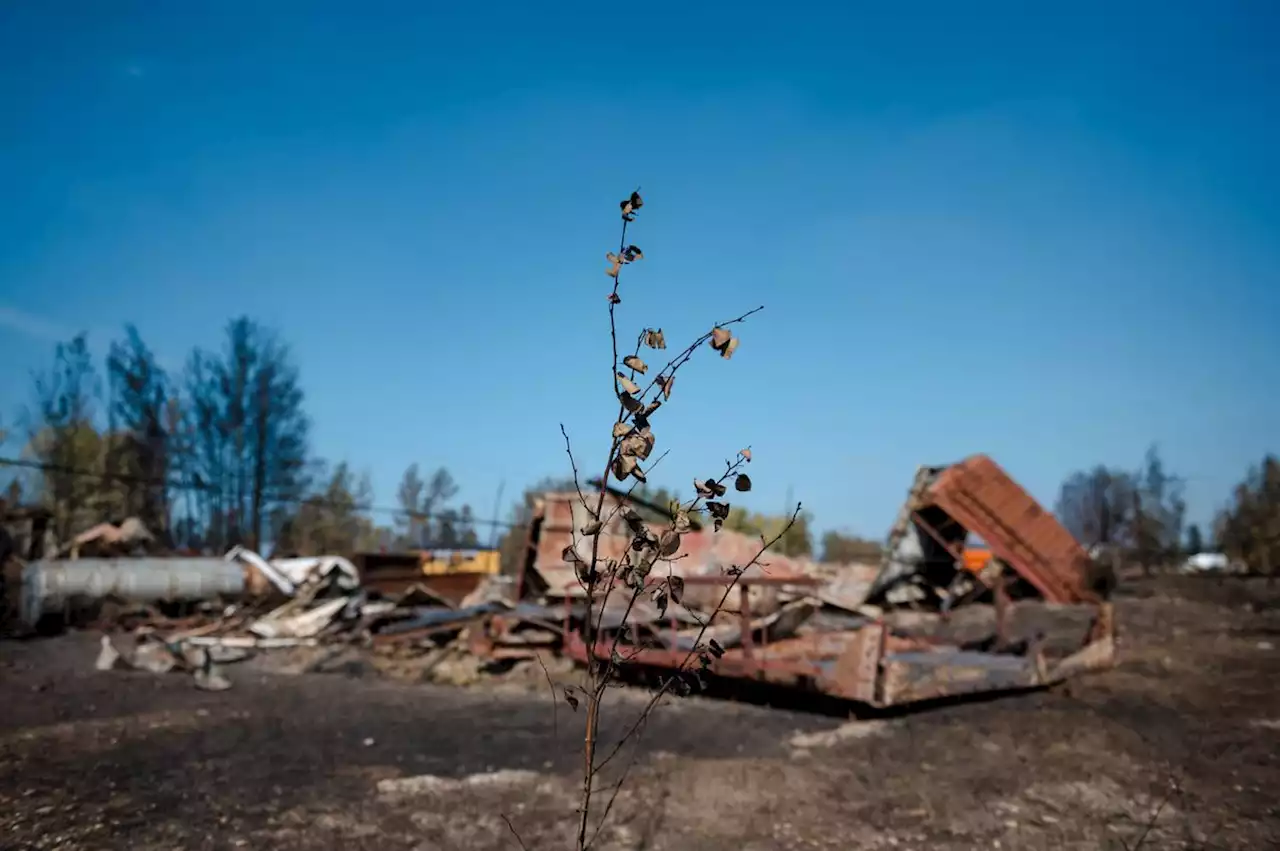 Opinion: Canada’s climate adaptation plans were built for a world that no longer exists