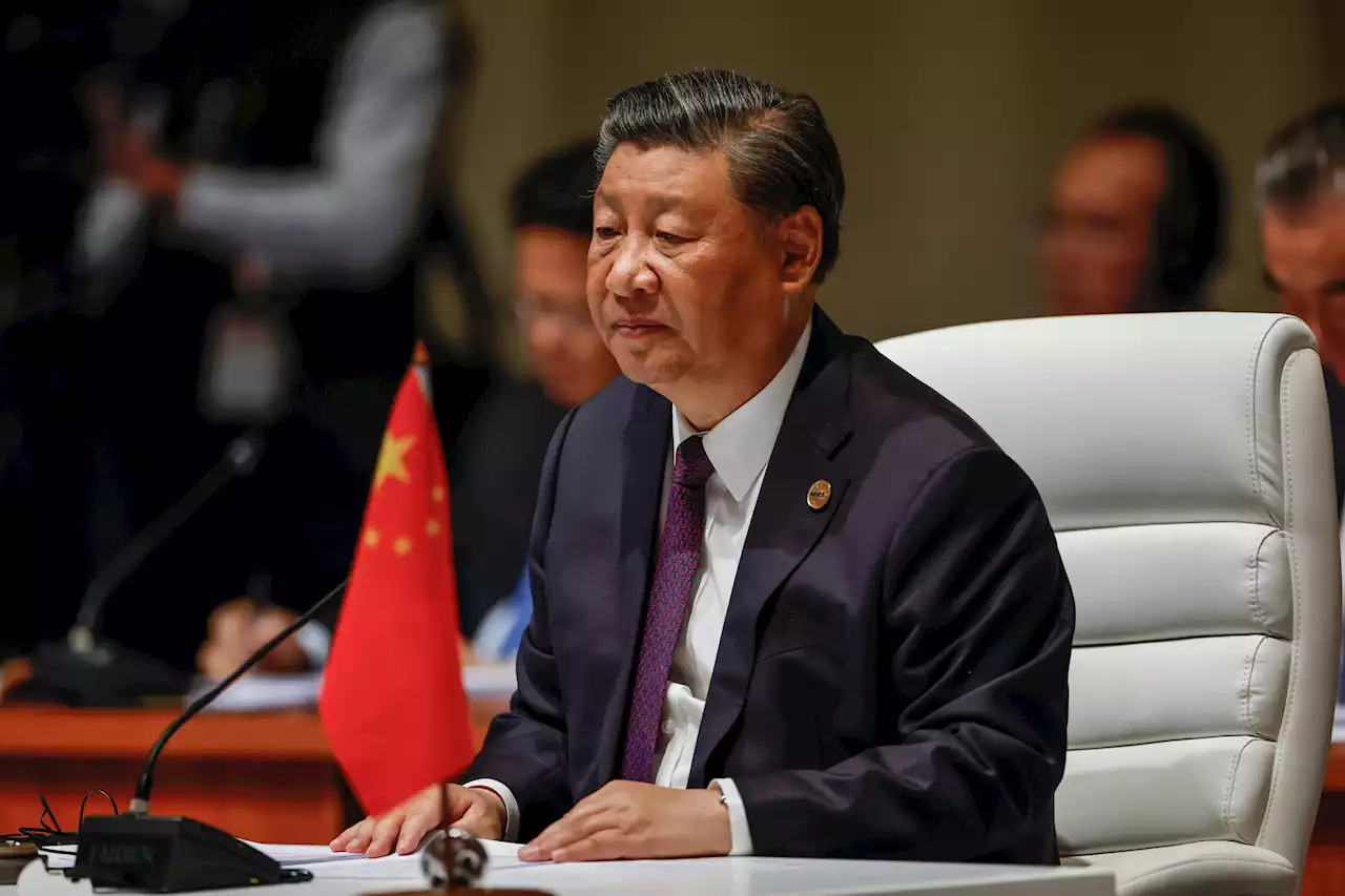 Xi: Fler länder bör ansluta till Brics