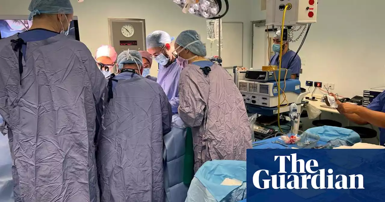 First womb transplant in UK hailed as ‘massive success’