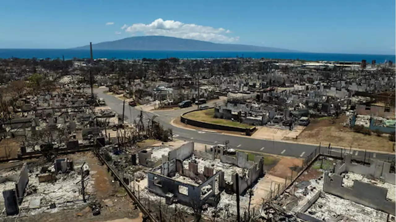 Lahaina: Brände auf Hawaii: Die Stunde der Geier