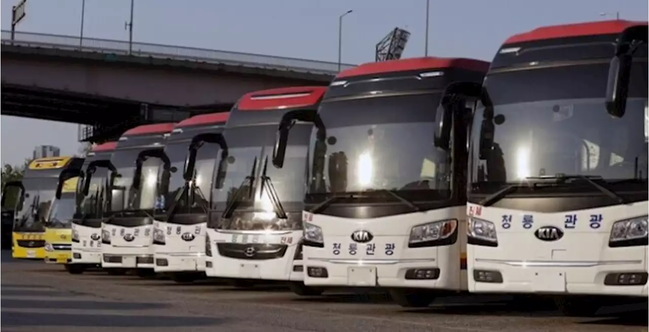 노랑버스만 가능…전국 초등학교 수학여행 무더기 취소 우려