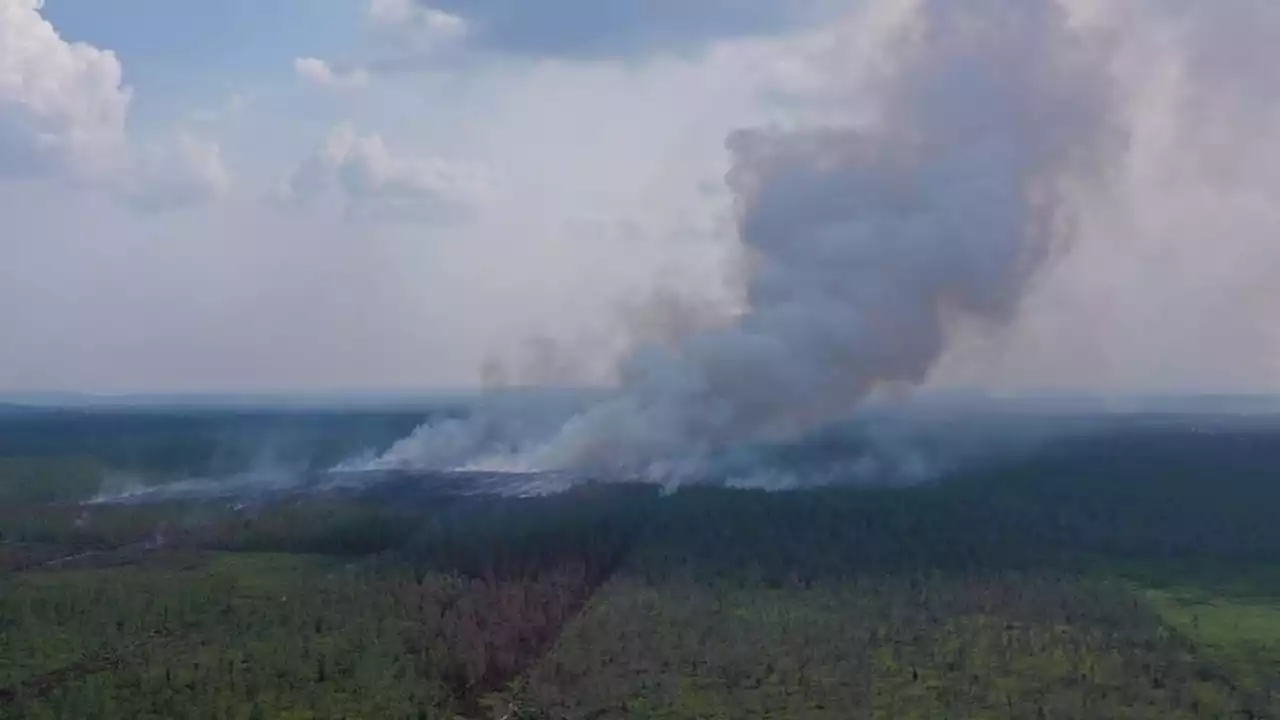 Kabut Asap Selimuti Kota di Kalteng, Hujan Buatan Mulai Dilakukan