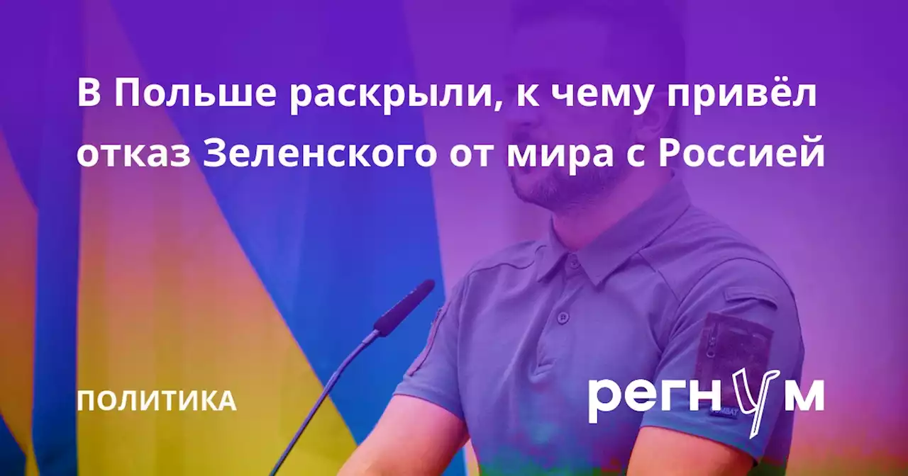 В Польше раскрыли, к чему привёл отказ Зеленского от мира с Россией