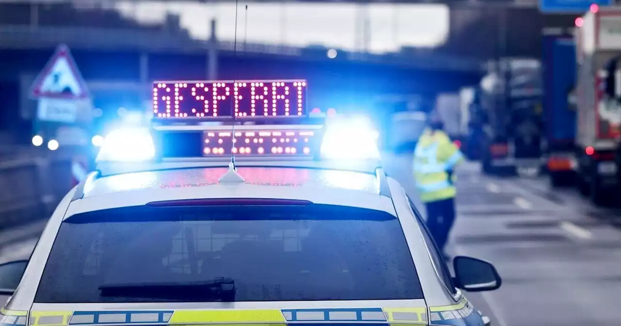 Jungbulle Uwe bricht auf Autobahn aus Anhänger aus