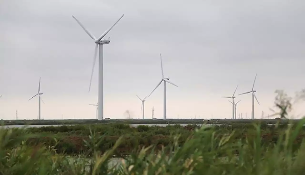 Fredsforhandlinger mellem vindmøllebyggere og naturelskere er aldrig kommet i gang